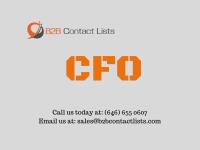 b2bcontactlists image 5